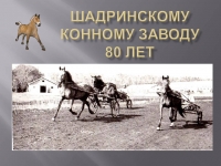 Сценарий. 80 лет Шадринскому конному заводу