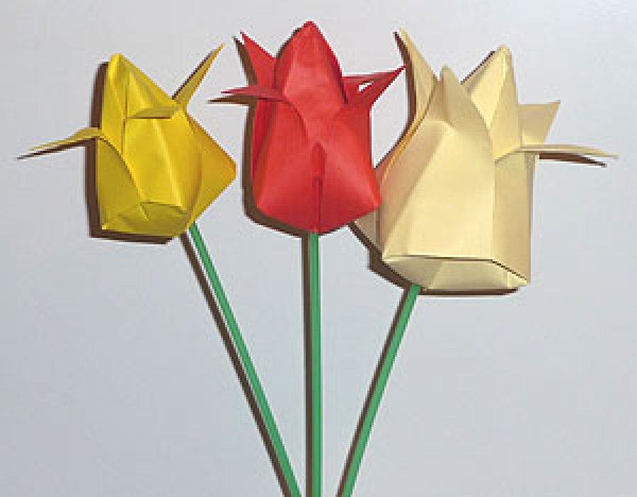 Как сделать тюльпан оригами из бумаги: пошаговая инструкция и схема